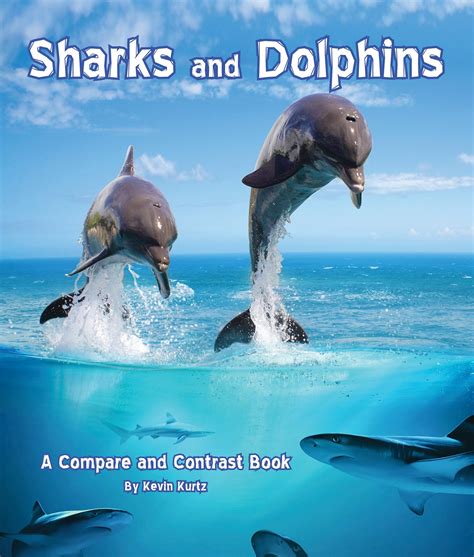 dolphins and you reviews|Reviews